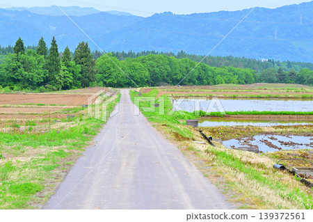 位於多馬高原腳下的梯田:春意盎然的鄉村景色,新潟縣十日町市 位於多馬高原腳下的梯田:春意盎然的鄉村景色,新潟縣十日町市 139372561