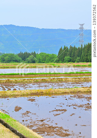 位於多馬高原腳下的梯田:春意盎然的鄉村景色,新潟縣十日町市 位於多馬高原腳下的梯田:春意盎然的鄉村景色,新潟縣十日町市 139372562