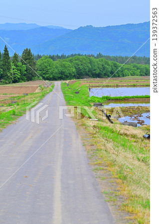 位於多馬高原腳下的梯田:春意盎然的鄉村景色,新潟縣十日町市 位於多馬高原腳下的梯田:春意盎然的鄉村景色,新潟縣十日町市 139372563