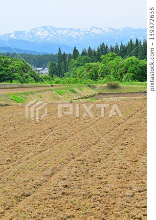 Terraced rice fields at the foot of Toma Plateau: A rural landscape in the fresh green of spring, Tokamachi City, Niigata Prefecture Terraced rice fields at the foot of Toma Plateau: A rural landscape in the fresh green of spring, Tokamachi City, Niigata Prefecture 139372638