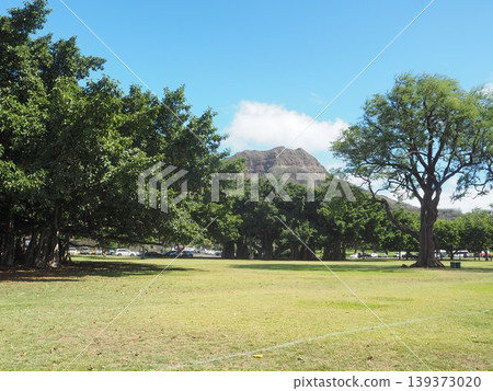 卡皮歐拉尼公園的藍天和綠色草坪|夏威夷檀香山 139373020