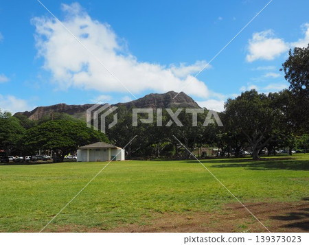 卡皮歐拉尼公園的藍天和綠色草坪|夏威夷檀香山 139373023