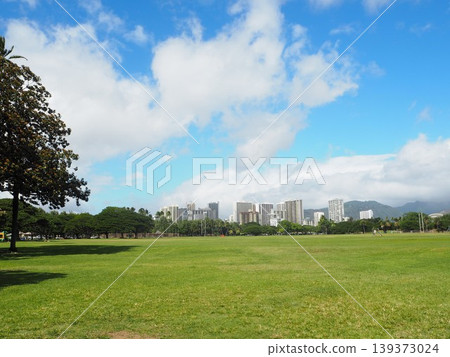 卡皮歐拉尼公園的藍天和綠色草坪|夏威夷檀香山 139373024
