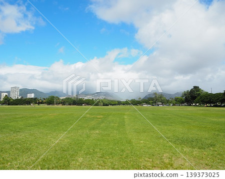 卡皮歐拉尼公園的藍天和綠色草坪|夏威夷檀香山 139373025