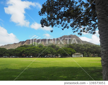 卡皮歐拉尼公園的藍天和綠色草坪|夏威夷檀香山 139373051