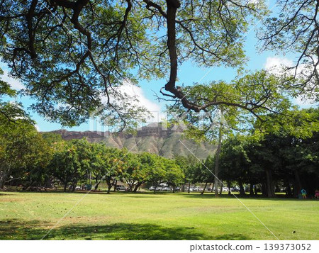 Blue skies and green lawns at Kapiolani Park | Honolulu, Hawaii Blue skies and green lawns at Kapiolani Park | Honolulu, Hawaii 139373052