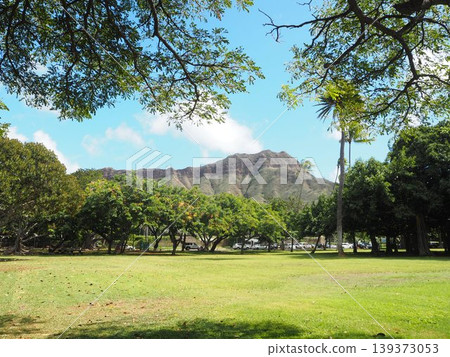卡皮歐拉尼公園的藍天和綠色草坪|夏威夷檀香山 139373053