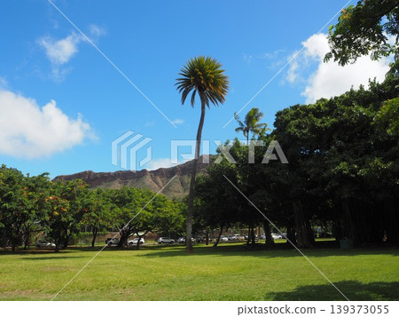 卡皮歐拉尼公園的藍天和綠色草坪|夏威夷檀香山 139373055