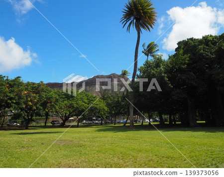 卡皮歐拉尼公園的藍天和綠色草坪|夏威夷檀香山 139373056