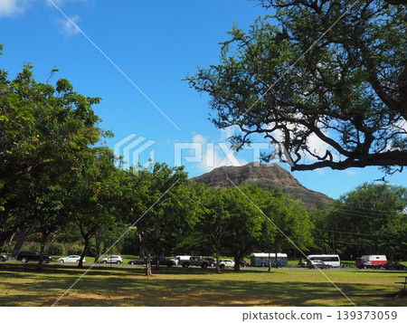 卡皮歐拉尼公園的藍天和綠色草坪|夏威夷檀香山 139373059