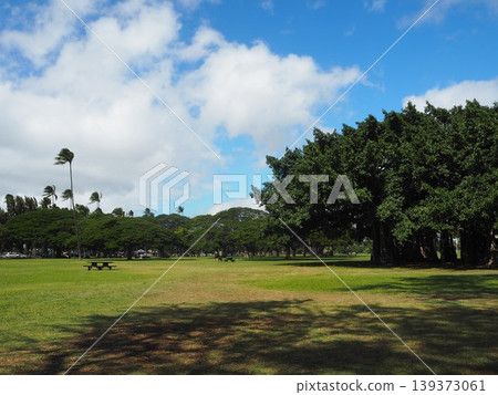 卡皮歐拉尼公園的藍天和綠色草坪|夏威夷檀香山 139373061