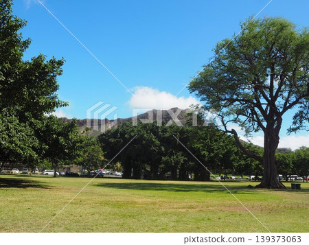 Blue skies and green lawns at Kapiolani Park | Honolulu, Hawaii Blue skies and green lawns at Kapiolani Park | Honolulu, Hawaii 139373063