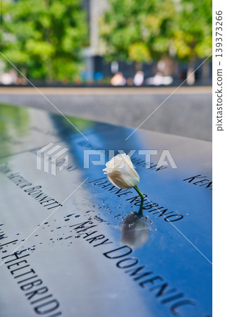 World Trade Center / New York World Trade Center / New York 139373266
