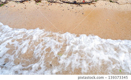 Coastal Shoreline with Sea Foam and Natural Wood Debris Coastal Shoreline with Sea Foam and Natural Wood Debris 139373345