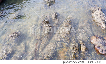 Submerged Rock Ridges in Transparent Tropical Sea 139373443