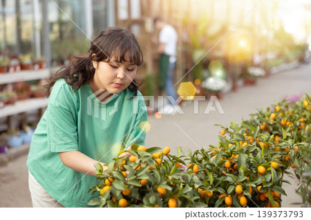 before buying,young girl examines fruits on citrus bush and wants to choose most ripe kumquats before buying,young girl examines fruits on citrus bush and wants to choose most ripe kumquats 139373793