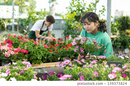 Asian girl choosing blooming potted African daisy in greenhouse Asian girl choosing blooming potted African daisy in greenhouse 139373824