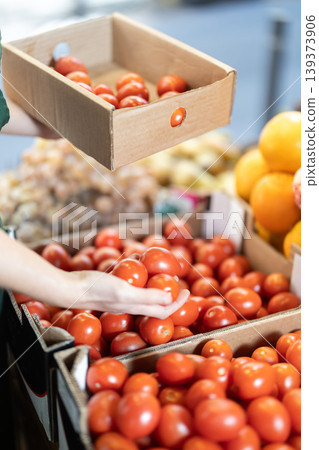 Closeup of seller hands put ripe red tomatoes on grocery supermarket display Closeup of seller hands put ripe red tomatoes on grocery supermarket display 139373906