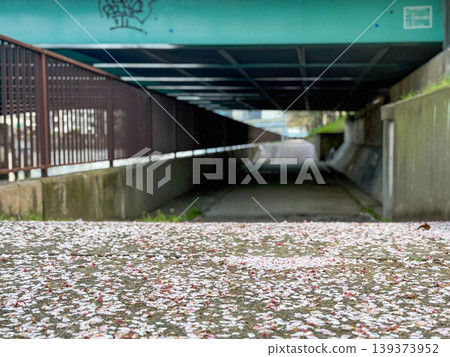 A quiet spring promenade with cherry blossom petals fluttering down. April 11, 2026, Osaka City, Japan. A quiet spring promenade with cherry blossom petals fluttering down. April 11, 2026, Osaka City, Japan. 139373952