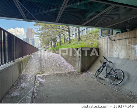 高架鐵路下寂靜無聲,櫻花花瓣如地毯般鋪滿整條路。 2026年4月11日,日本大阪市。 高架鐵路下寂靜無聲,櫻花花瓣如地毯般鋪滿整條路。 2026年4月11日,日本大阪市。 139374149