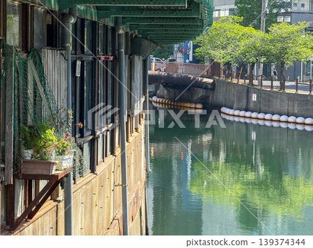 The soft spring light filtering through Yokohama's canals and the historical scenery beneath the elevated railway tracks. April 20, 2026, Yokohama City, Sunday 139374344