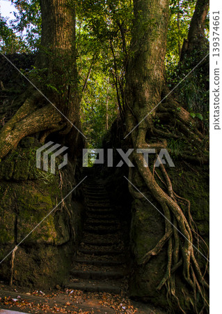 Travel scenery of Izu Oshima Travel scenery of Izu Oshima 139374661