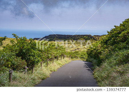Travel scenery and nature of Izu Oshima 139374777