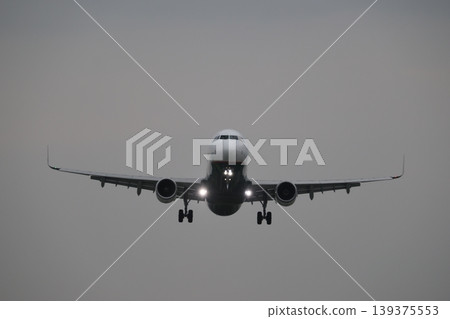 Landing posture 139375553