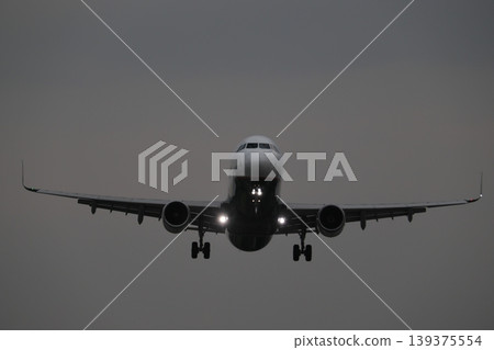 Landing posture Landing posture 139375554