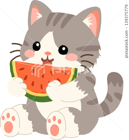 Cute gray kitten eating a watermelon slice. playful summer kawaii animal illustration Cute gray kitten eating a watermelon slice. playful summer kawaii animal illustration 139375779
