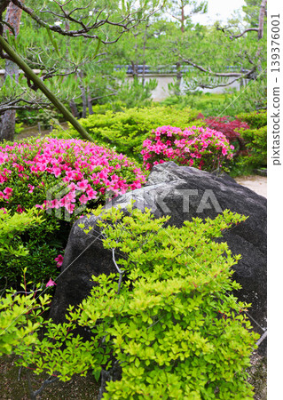 Spring park garden scenery Spring park garden scenery 139376001