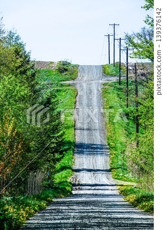 A typical early summer scene in Hokkaido: a country road with gravel paths. 139376142