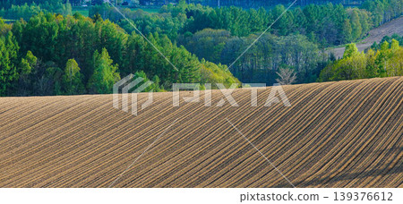 A scene of neatly tilled fields in the Biei area of Hokkaido in early summer. A scene of neatly tilled fields in the Biei area of Hokkaido in early summer. 139376612