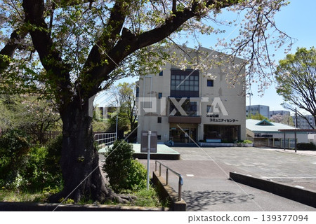 東京町田市木曾山崎社區中心和盛開的櫻花, 東京町田市木曾山崎社區中心和盛開的櫻花, 139377094