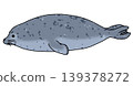 斑海豹（側視圖） 139378272