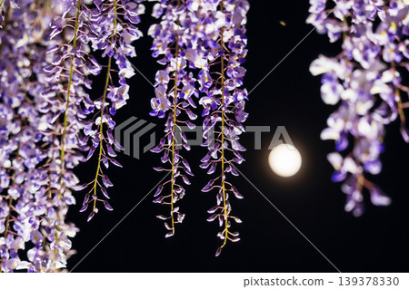 Moon and wisteria light-up Moon and wisteria light-up 139378330