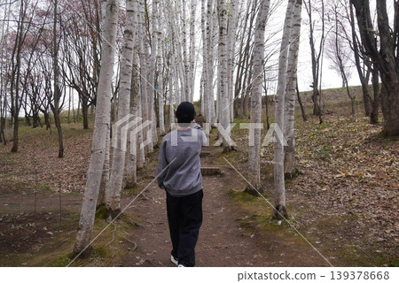 一名男子沿著北海道美瑛的白樺樹走廊行走(從背後拍攝)。 一名男子沿著北海道美瑛的白樺樹走廊行走(從背後拍攝)。 139378668