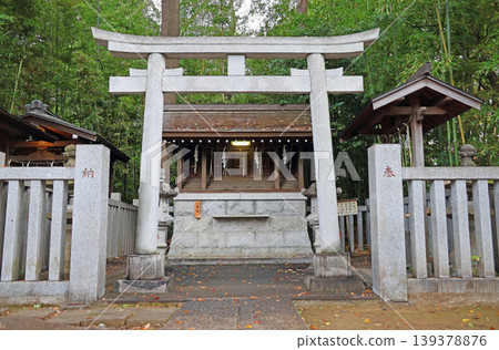 荻窪八幡宮(杉並) 荻窪八幡宮(杉並) 139378876