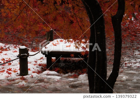 Autumn leaves and first snow Autumn leaves and first snow 139379322