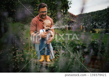 Little daughter helping dad in garden, watering plants with hose. Little daughter helping dad in garden, watering plants with hose. 139379421