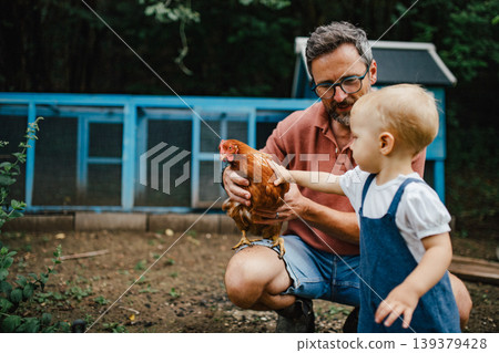 Father and toddler feeding chickens in backyard garden. Father and toddler feeding chickens in backyard garden. 139379428