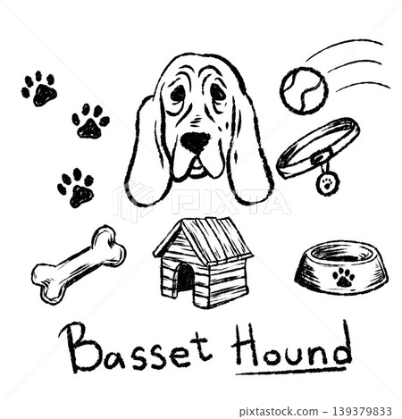 Basset Hound doodle set, hand drawn dog breed head with collar, ball and house. Sketch pet animal elements, canine portrait. Basset Hound collection 139379833