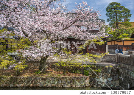 倉敷市：倉敷川和櫻花 139379937
