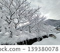 Snow-covered winter trees and a quiet winter landscape 139380078