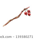 Hand drawn watercolor illustration of a rustic tree branch with three bright red berries. This organic botanical element features earthy textures, perfect for autumn, winter, or holiday seasonal 139380271