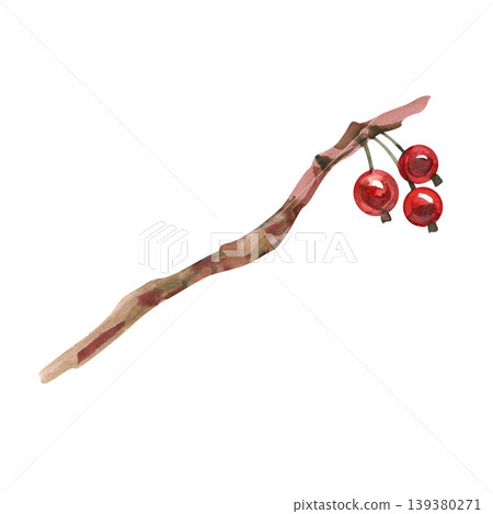 Hand drawn watercolor illustration of a rustic tree branch with three bright red berries. This organic botanical element features earthy textures, perfect for autumn, winter, or holiday seasonal 139380271
