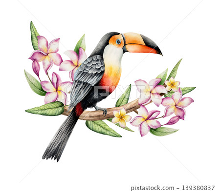 Toco toucan on realistic blooming frangipani flowers tree. Watercolor hand drawn tropical plumeria plant. Isolated botanical illustration on transparent background. Perfect for tropical design Toco toucan on realistic blooming frangipani flowers tree. Watercolor hand drawn tropical plumeria plant. Isolated botanical illustration on transparent background. Perfect for tropical design 139380837