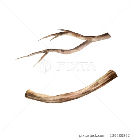 Set of wooden branches, twigs, sticks. Watercolor hand drawn Isolated illustration on transparent background. Perfect for tropical design projects. For designers, invitations, decoration, postcards 139380852