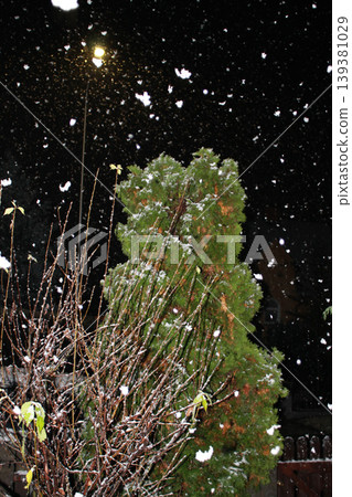 It's snowing It's snowing 139381029