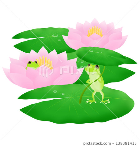 青蛙和睡蓮的插圖 青蛙和睡蓮的插圖 139381413